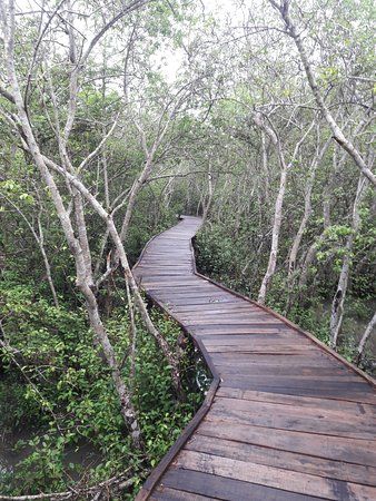 Coringa Wildlife Sanctuary